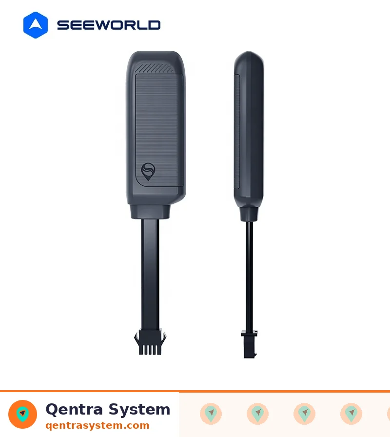 Traceur GPS Filaire 2G Seeworld R11